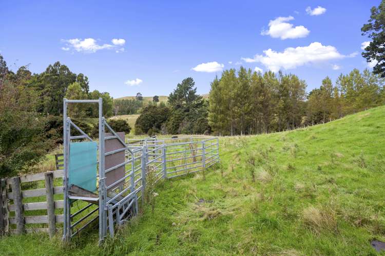 422 Glendhu Road Motunau_17