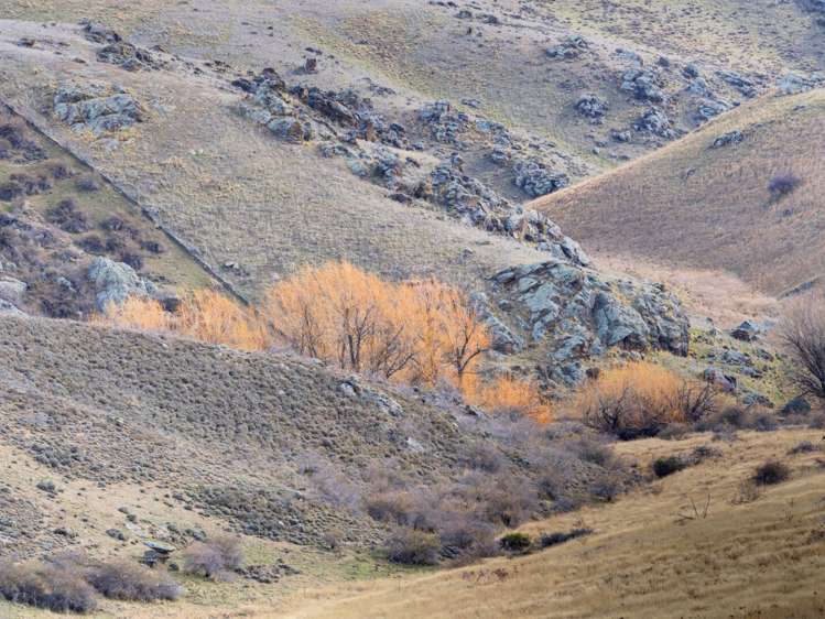 Ida Valley-Omakau Road Ophir Omakau_17