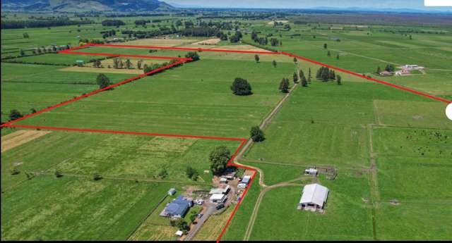 Quality Waikato Runoff, ready for Stock