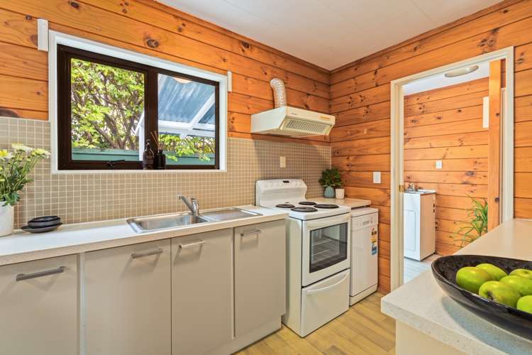 29b Nukumea Common Orewa_10