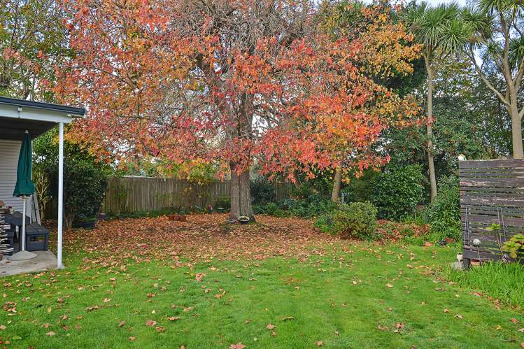 7 College Street Masterton_20