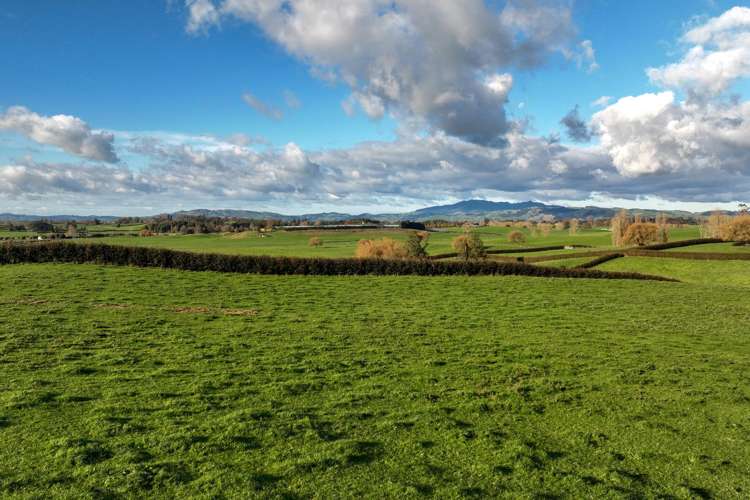 Picquet Hill Road Te Awamutu_10