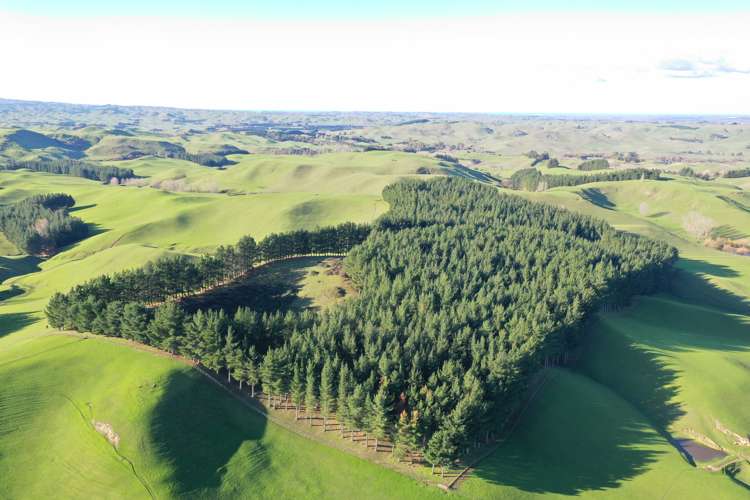 712 Matapiro Road Crownthorpe_22