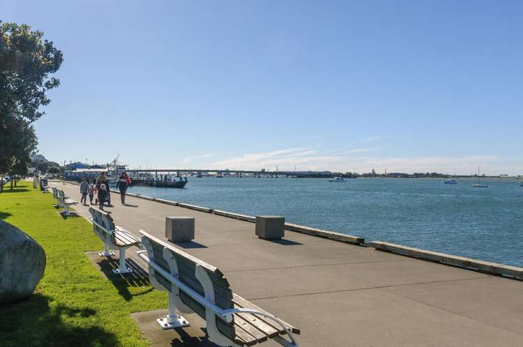 30A Selwyn Street Tauranga Central_10