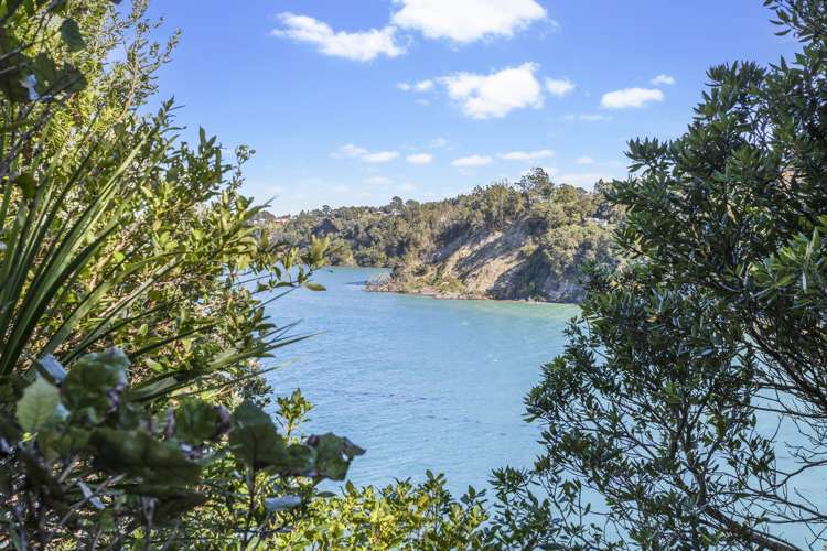 113 Tanekaha Road Titirangi_14