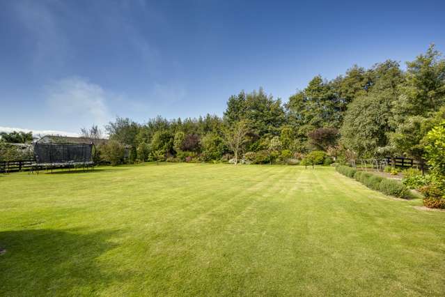 Something Special Awaits -  This Sunday 2PM