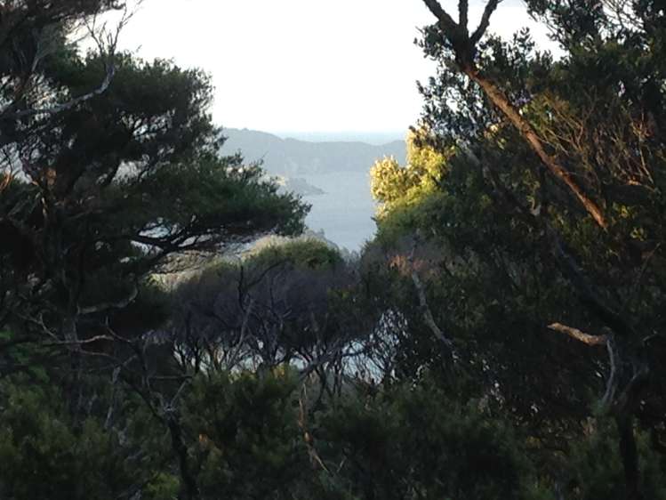 Lot 73/NW71 S71 Aotea Parish Station Rock Road Great Barrier Island_10