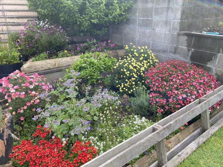 100 Centennial Avenue Waitara_40