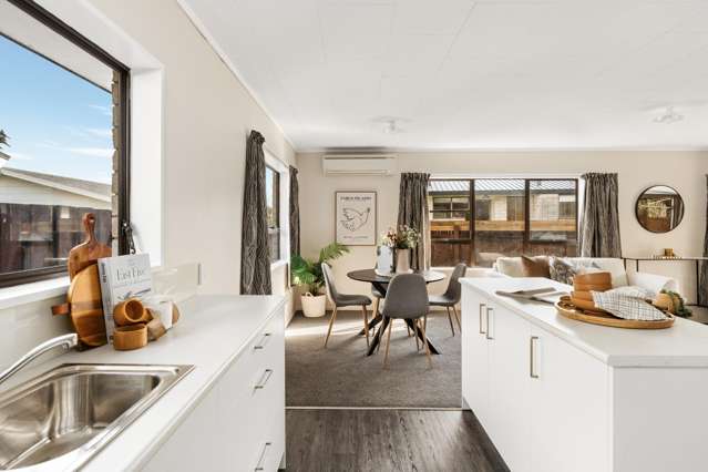 124b Te Hono Street Maungatapu_1