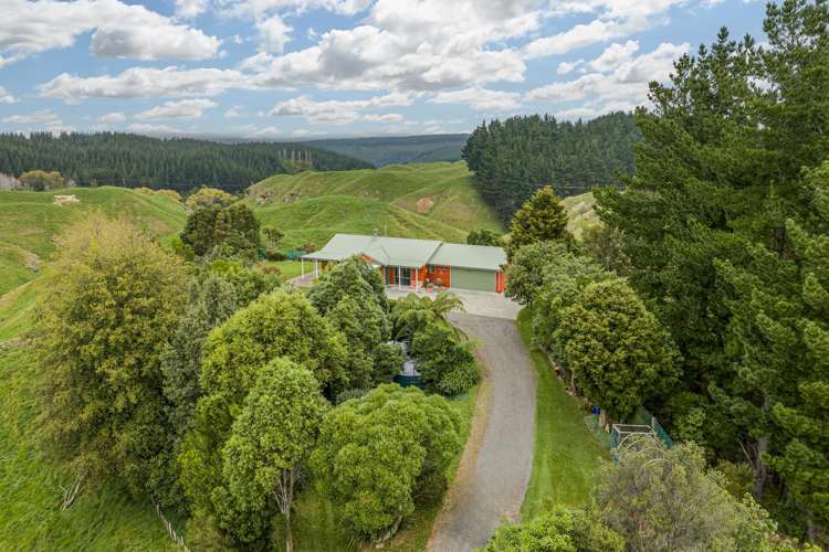 81 Kaiwaka Road Tangoio_8