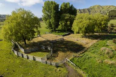 Waihua Valley_3