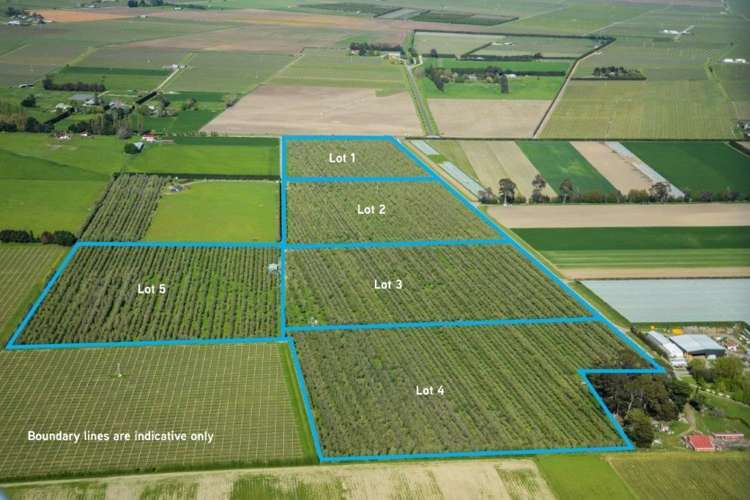 Ngatarawa Road Bridge Pa_0