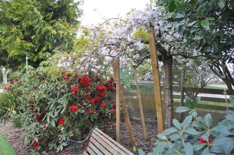 62 Rutland Street Riversdale_8