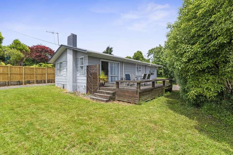 3 Galbraith Street Springfield_0