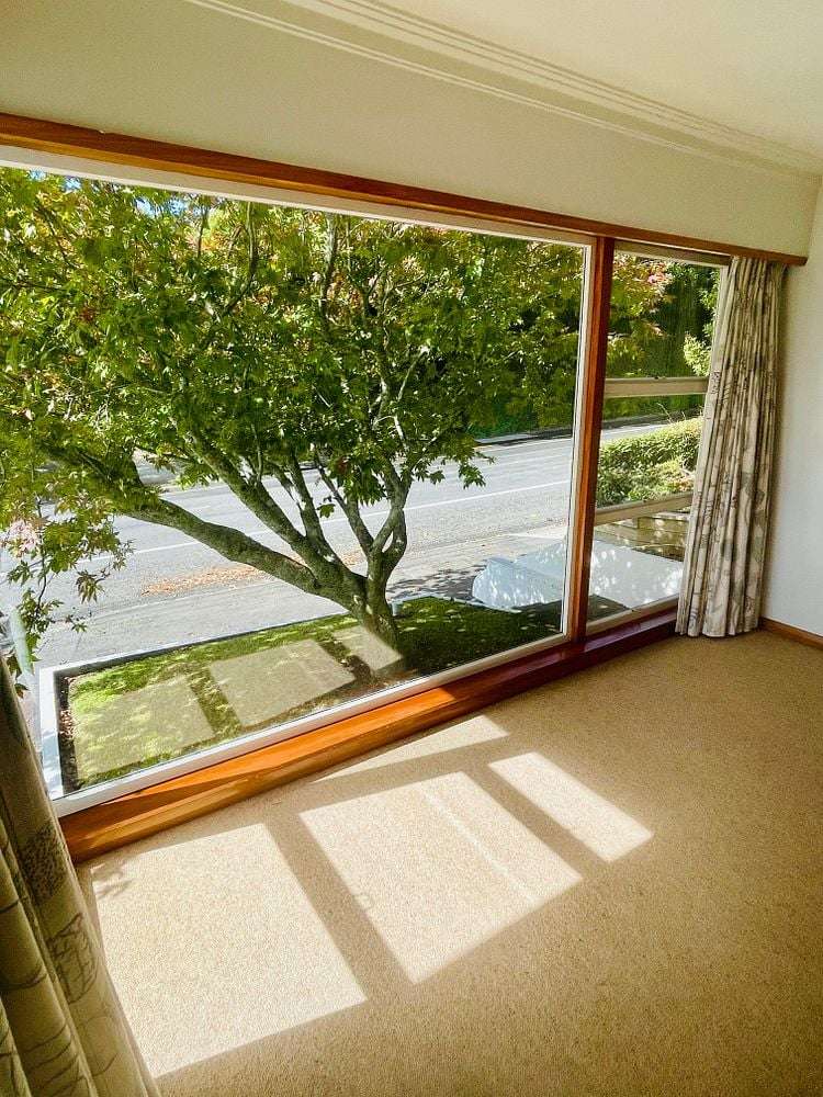 88 Carrington Street Lower Vogeltown_6