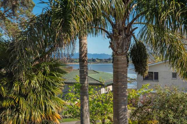 86 Princess Road Bellevue_3