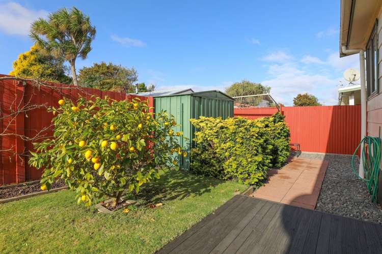 2/153 Spa Road Taupo_16