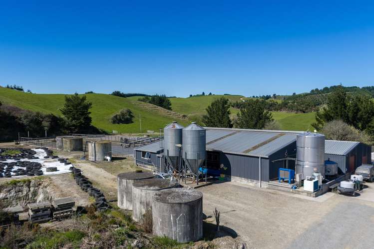 937 AB Wiltsdown Road South Waikato Surrounds_14