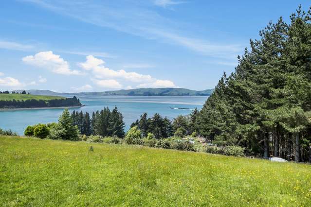 323 Aramoana Road Deborah Bay_2