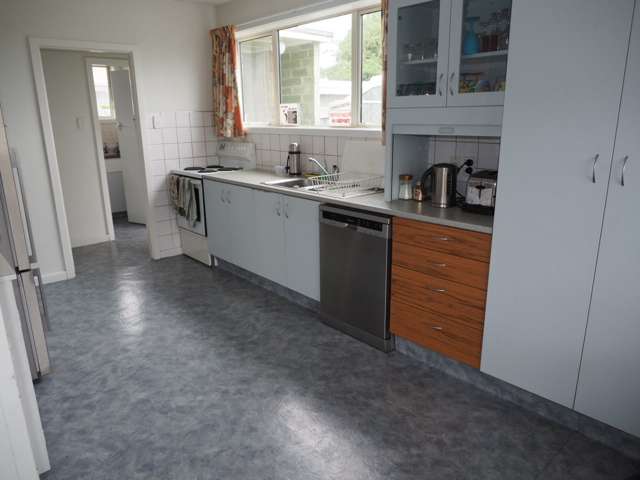 102 Thomson Street Tinwald_1