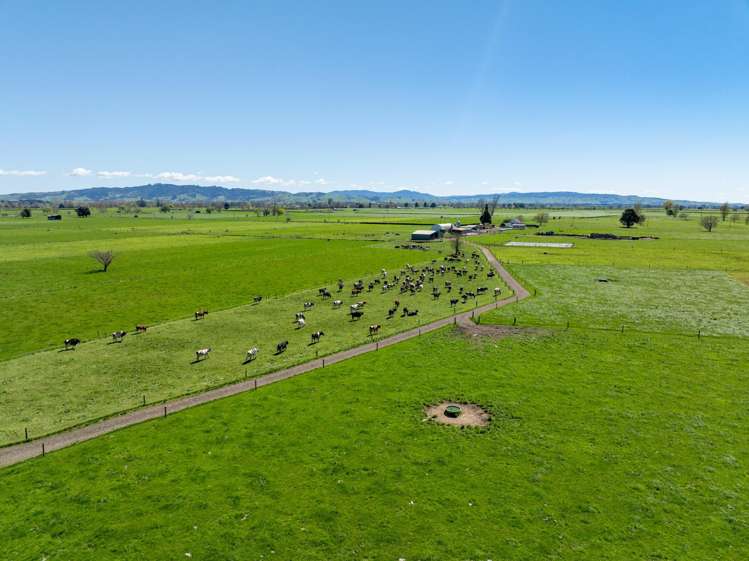 64 No 4 Road Morrinsville_12