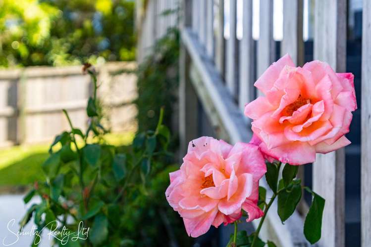 20 Bickerstaffe Road Maungaturoto_1