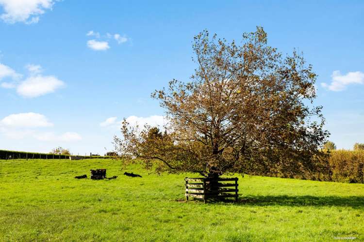 134 Waiau Pa Road Waiau Pa_11