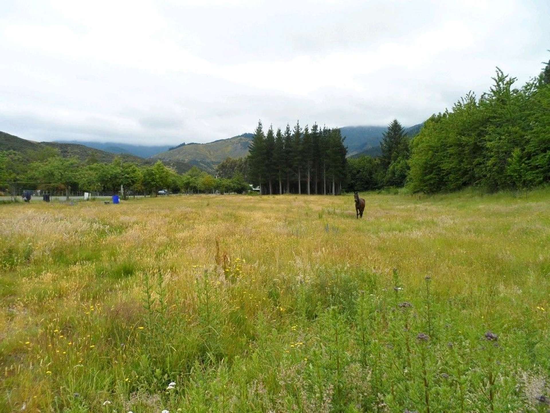 Jacks Pass Road Hanmer Springs_0