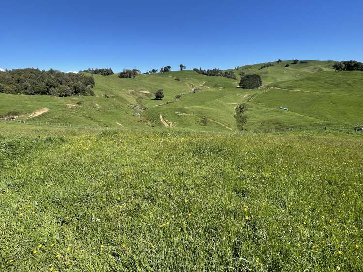 104 Tapuae Road Honikiwi_1