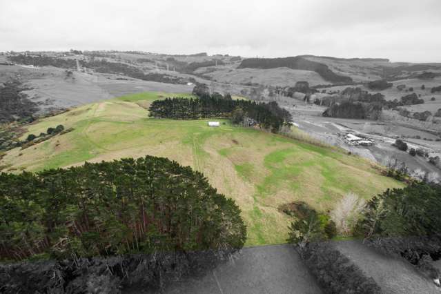 1128 Peak Road Helensville_1