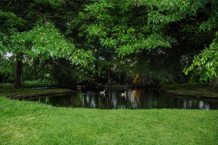 131 Saint Andrews Road Havelock North_14