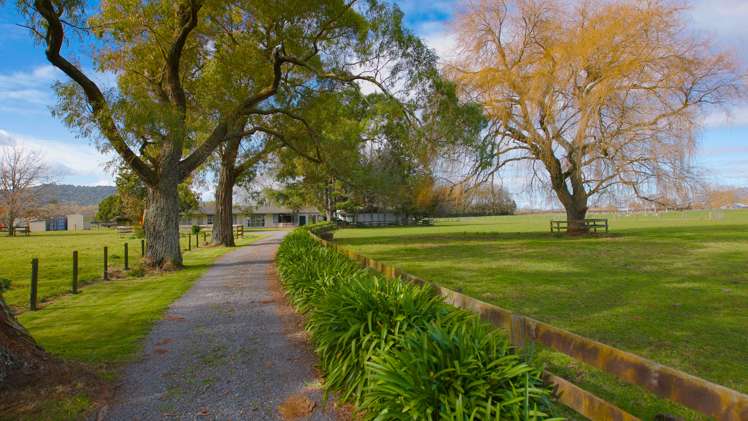 166 Saint Kilda Road Cambridge_24