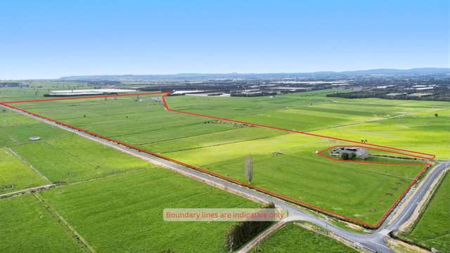 Efficient dairy unit - premium location