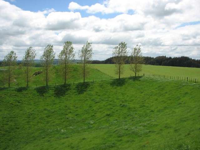 53 Worth Road Putaruru_2