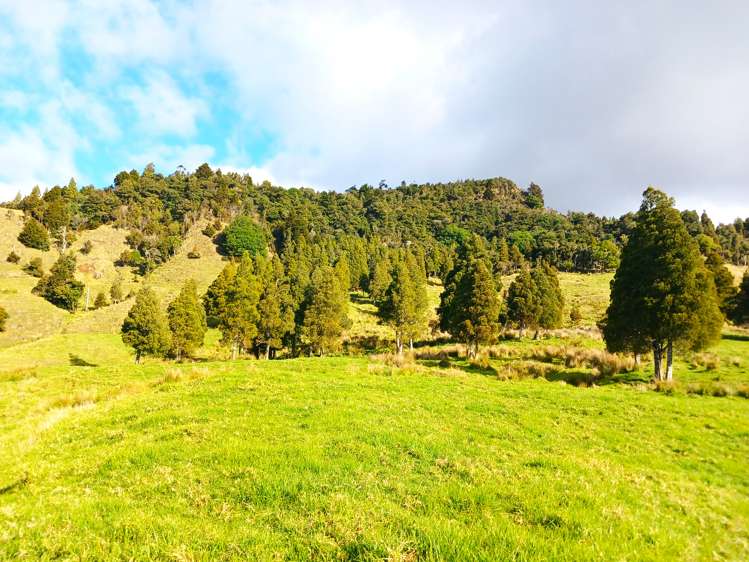 92 Takahue Saddle Road Takahue_33