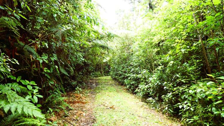 5296D State Highway 6_3