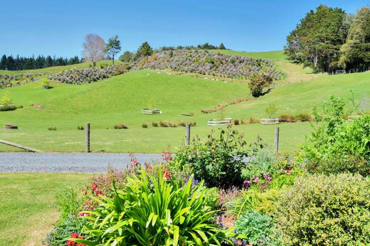 141 Omaha Valley Road Big Omaha_3