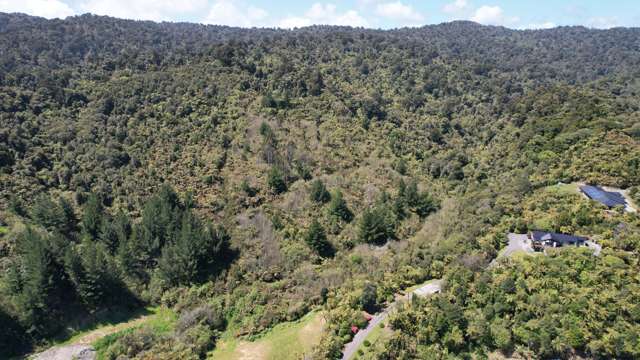 Town Belt East Greymouth_2