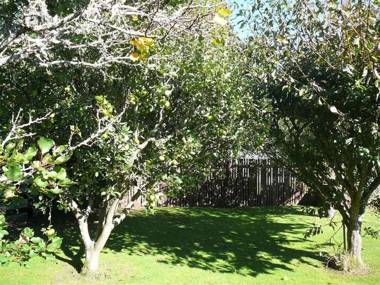 7447 State Highway 26 Paeroa_24