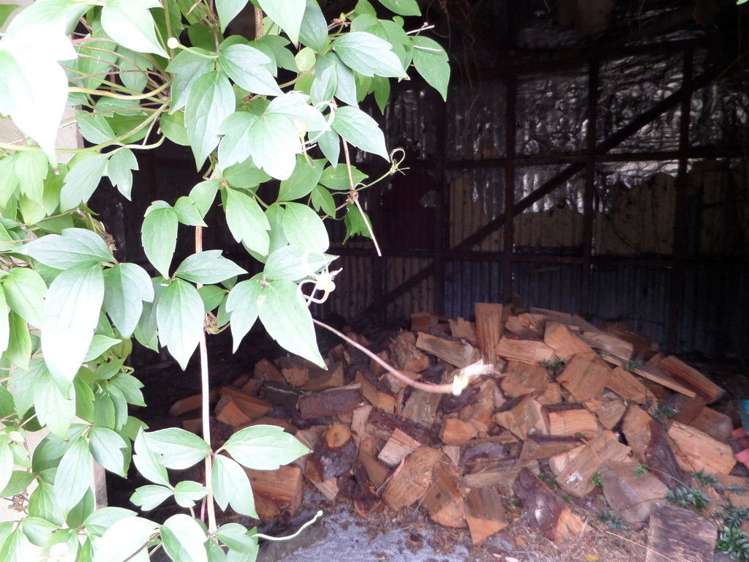 13 Churchill Crescent Featherston_6