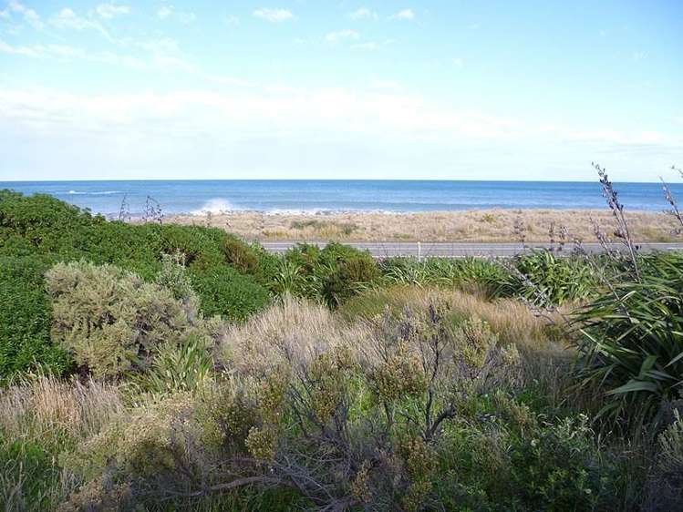 1 Mangatoetoe Grove Cape Palliser_8