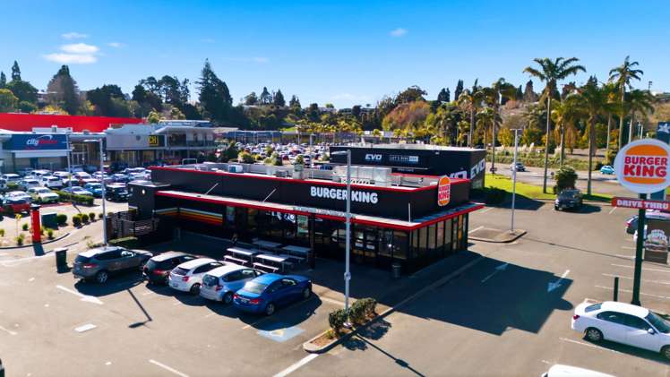 255 Fraser Street Tauranga South_1