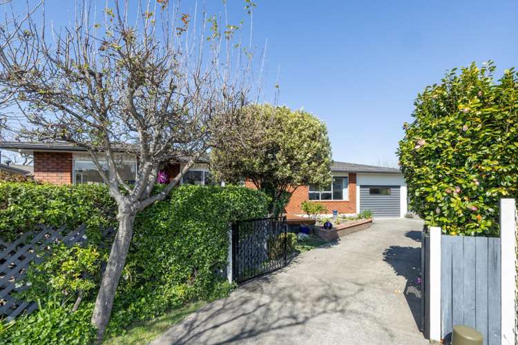 33 Moorhouse Street Taradale_19