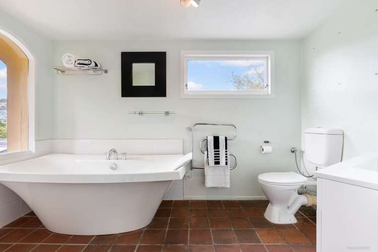 133 Ara-Kotinga Whitford_19