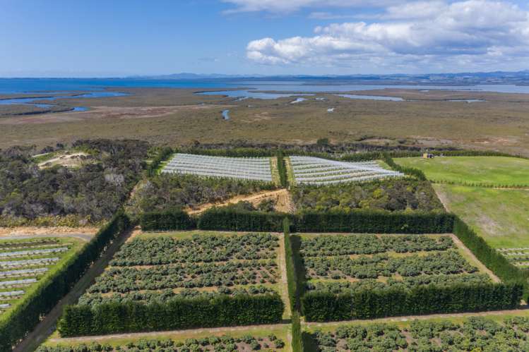 168 Heath Road Awanui_6