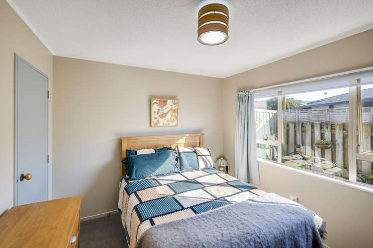 3/427 Gloucester Street Taradale_7