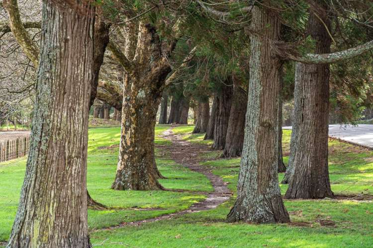 4/43 Tawhiri Road One Tree Hill_10