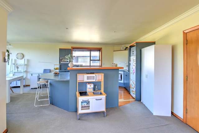 141 Kakapo Street Gore_3