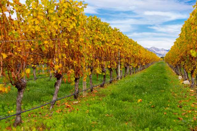 96 Shandon Road Waihopai Valley_2