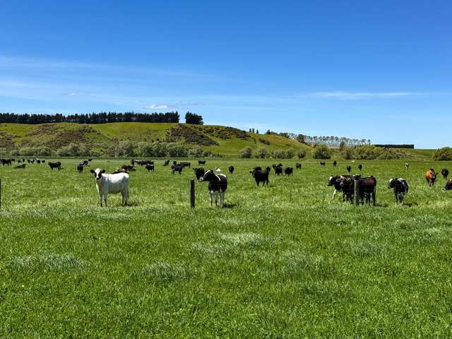 840 Ardlussa Cattleflat Road Cattle Flat_1